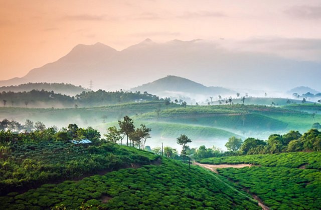 Wayanad